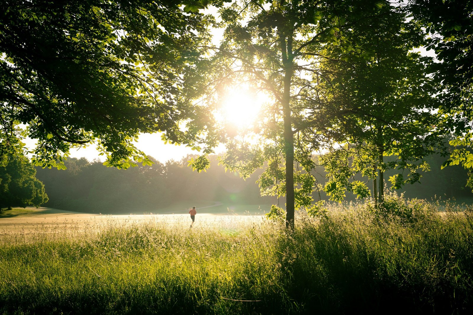 Self Inquiry- Experience emotional healing and Peace